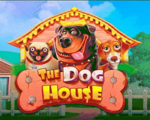 play The Dog House in wildzy casino