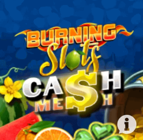 play Burning Slots in wildzy casino